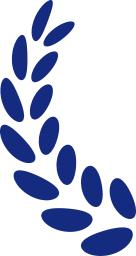 北航宁波研究院,北航创新研究院招本科