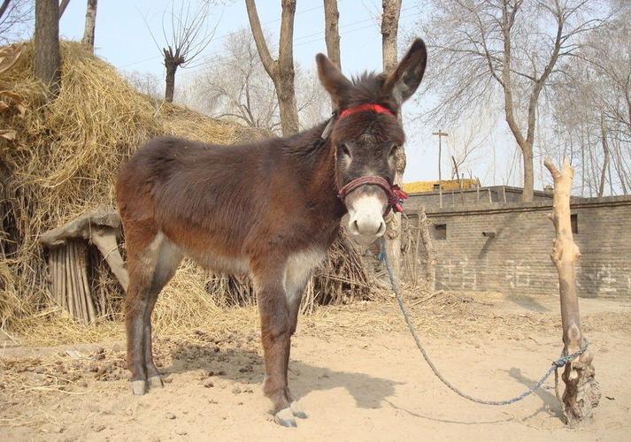 医生提醒这4种食物是祸根,保健品有这三种功效别买