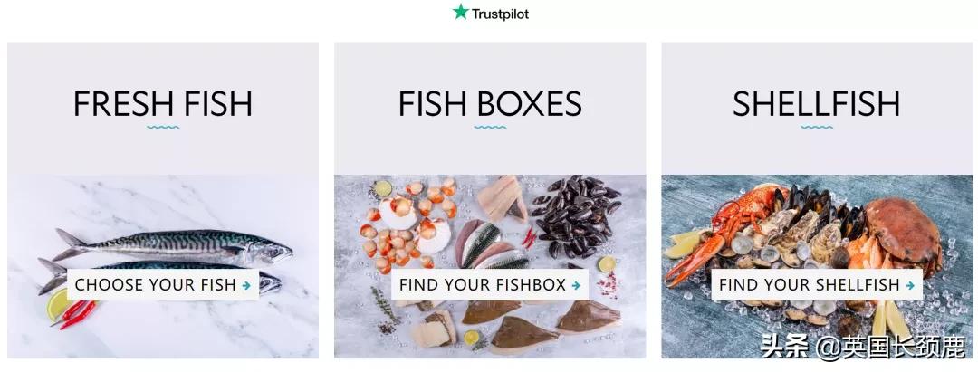 在伦敦哪里买新鲜的海鲜,伦敦海鲜市场买什么海鲜