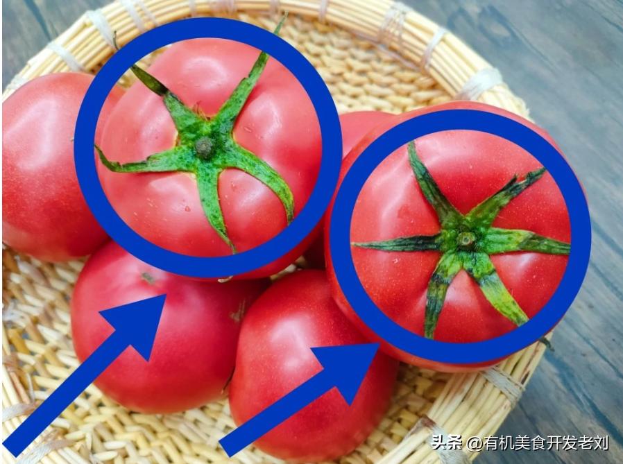 番茄怎么储存才能保持营养,番茄怎么储藏的时间长