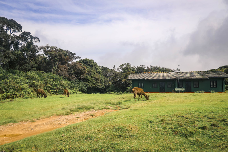斯里兰卡旅游攻略必去景点,斯里兰卡旅游攻略最佳时间