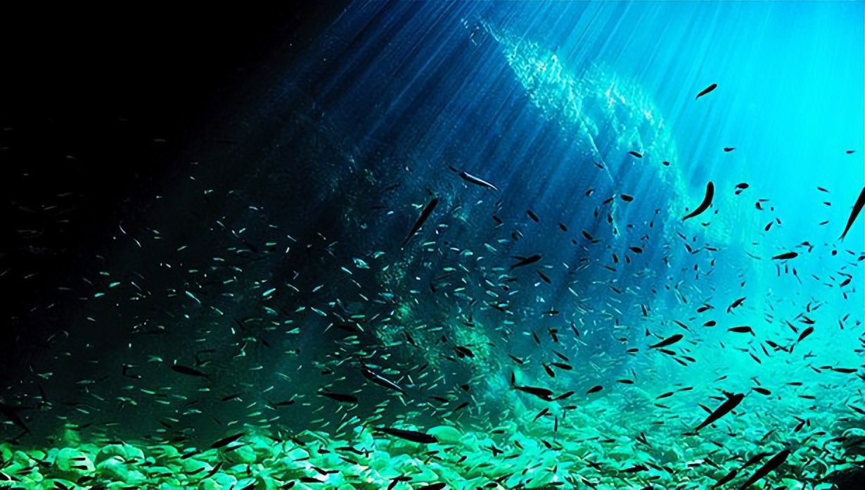 海信电视65寸e5g和e5h哪款好,海信电视e5h