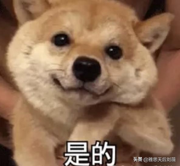 日常单词背雅思可以吗,雅思7000多个单词多少天背完