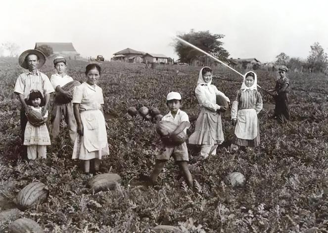 日本为什么把巴西当成第二故乡,日本为什么选择巴西作为第二故乡