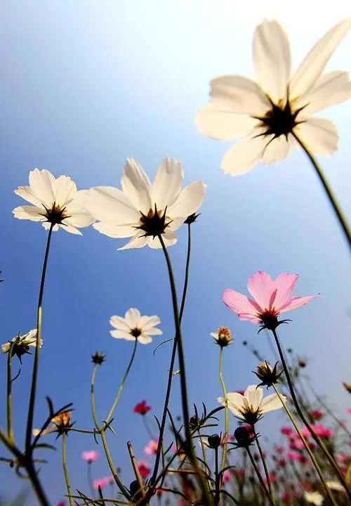 边防军动人故事,70年代最艰苦寒冷的边防哨所