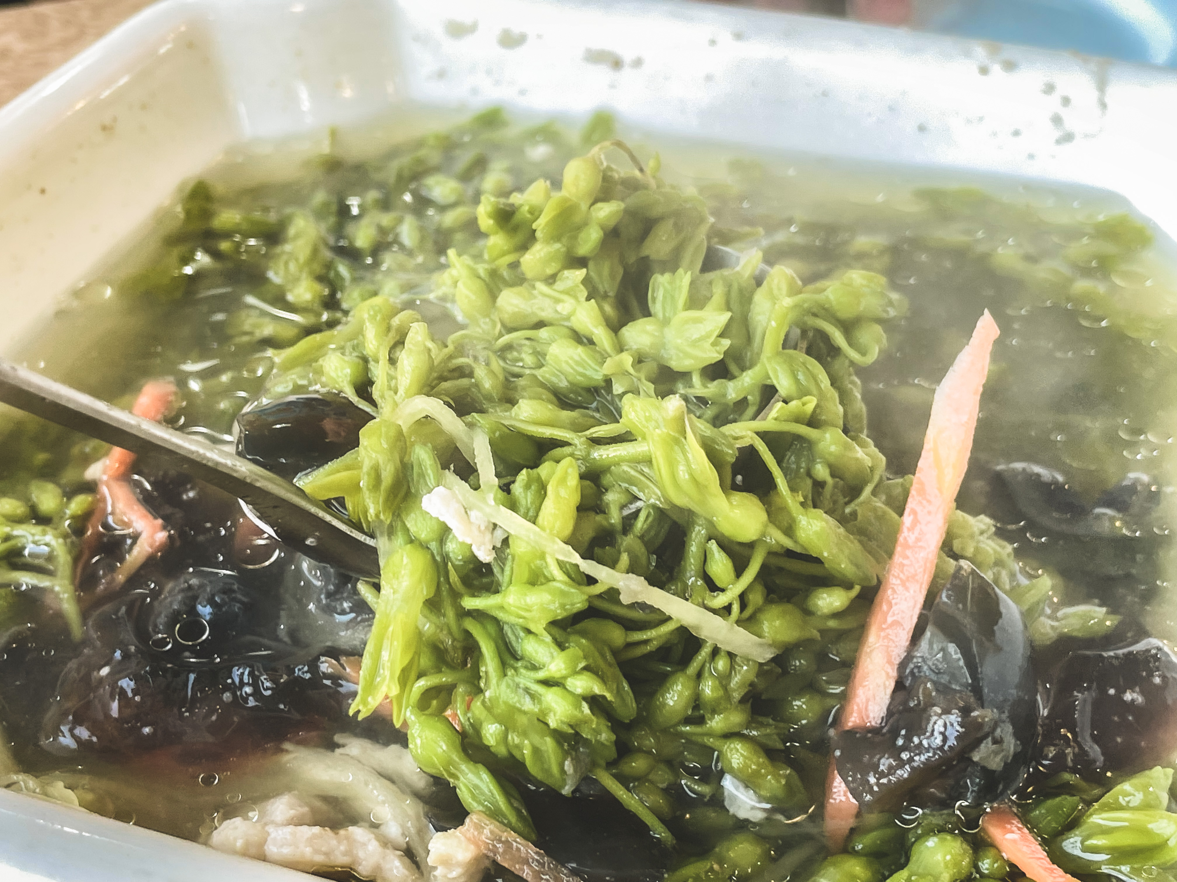 广州南昆山温泉旅游攻略,秋冬季来临广东热门温泉攻略