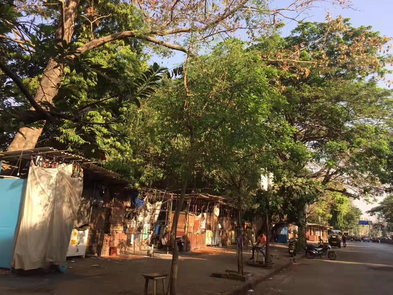 我，湖北女人，老公卖婚房助我做外贸，公司却破产了，我负债累累