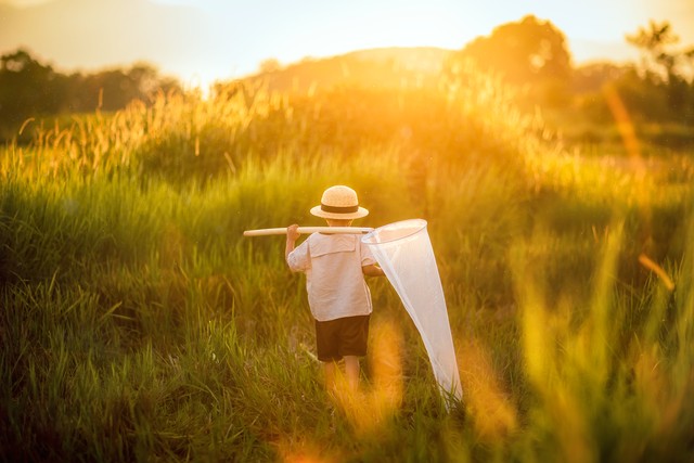 身边有小人需要如何化解,身边小人太多怎么办怎么避开