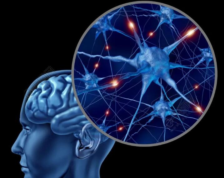 哪种药用来治脑萎缩,担心脑萎缩如何延缓脑的衰老