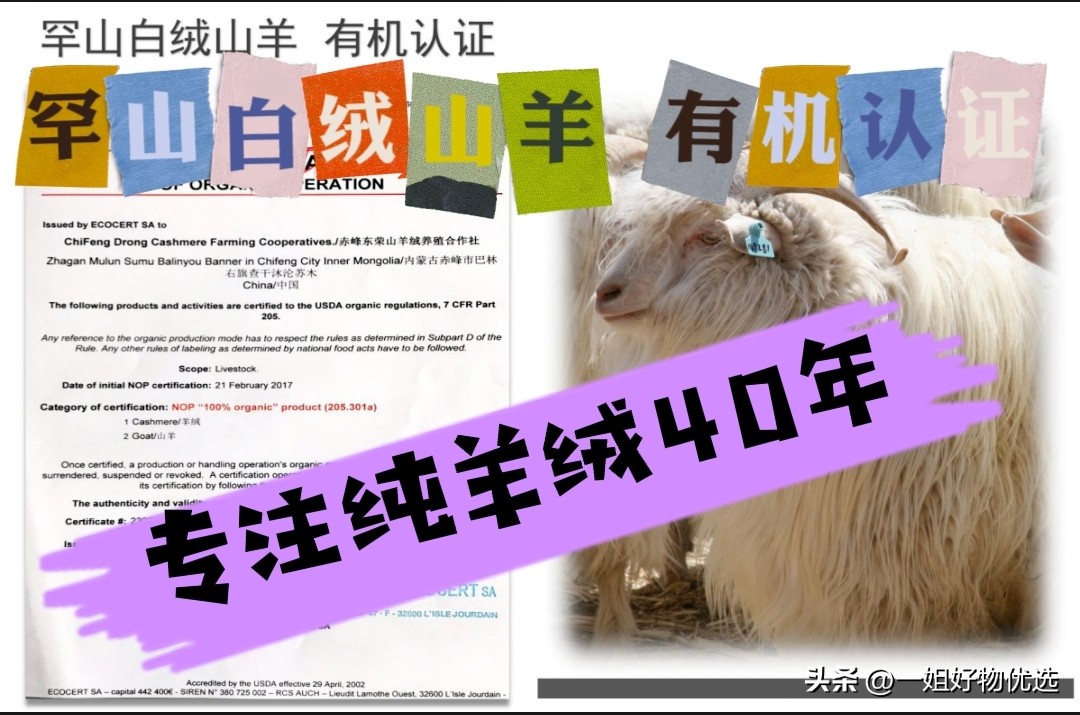 蔻驰围巾什么颜色好看,蔻驰围巾值得买吗