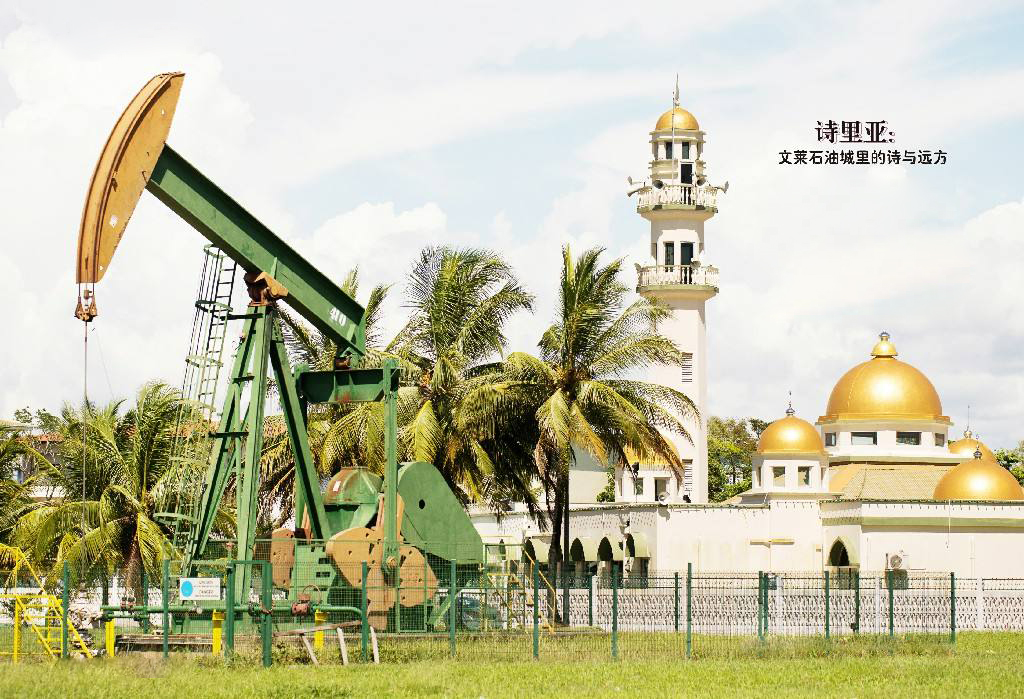 告诉你一个真实的文莱,最新的文莱视频