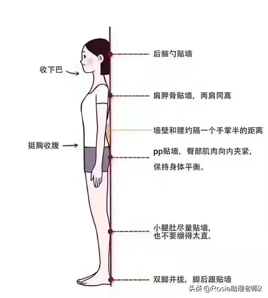蔡文静上镜显胖的真实对比,蔡文静晒健身绝美腹肌照