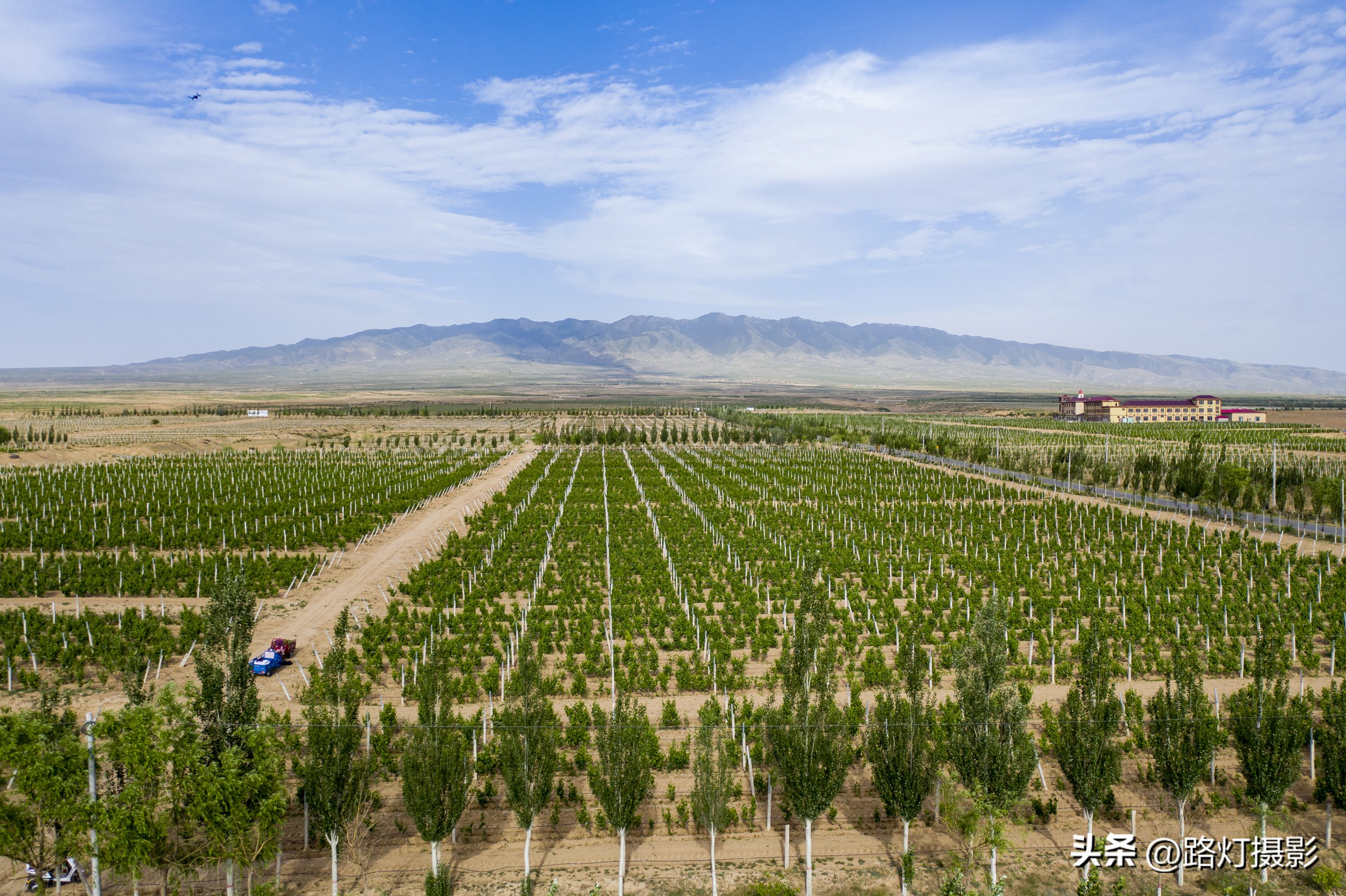 打卡世界级白酒庄园,打卡世界级白酒红酒