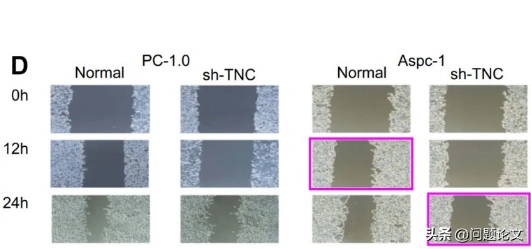 撤的不冤，来自吉林、辽宁、安徽的三篇论文都存在问题