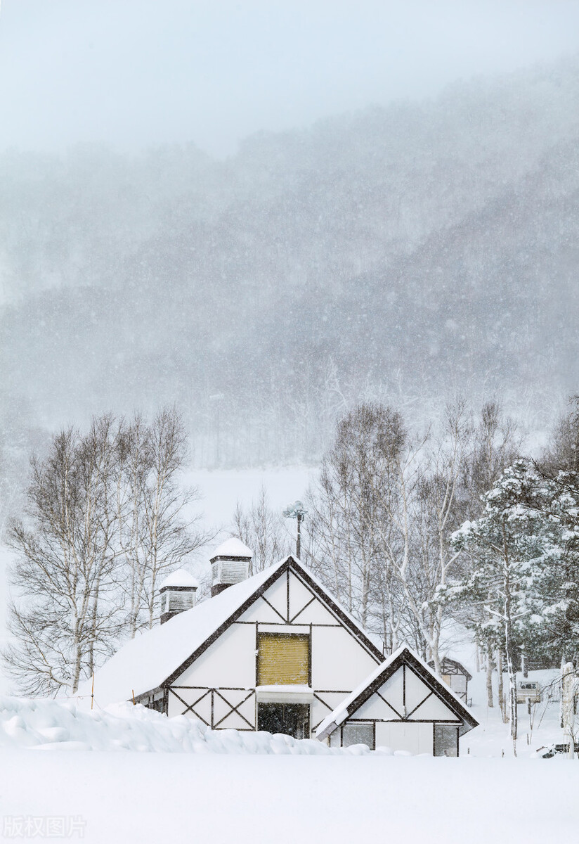 奇葩的购物商店,奇葩商场购物