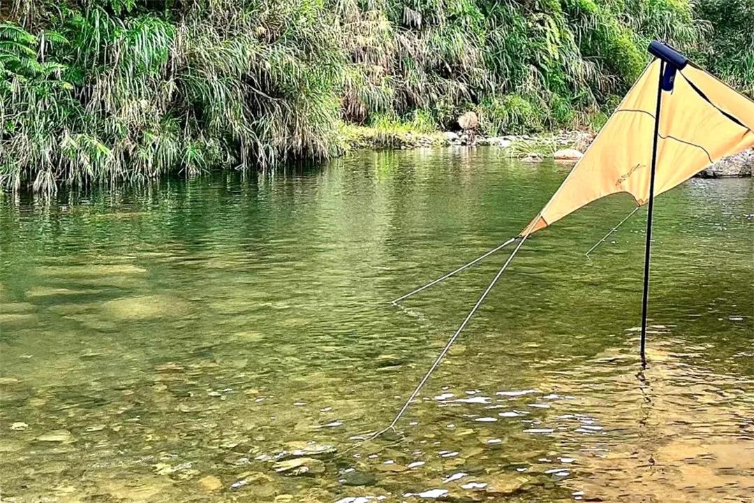 广州从化赏荷花胜地,从化草埔荷花