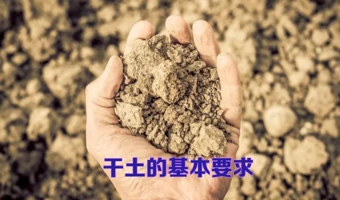 蔬菜根腐病打什么药,蔬菜地里根腐病如何治