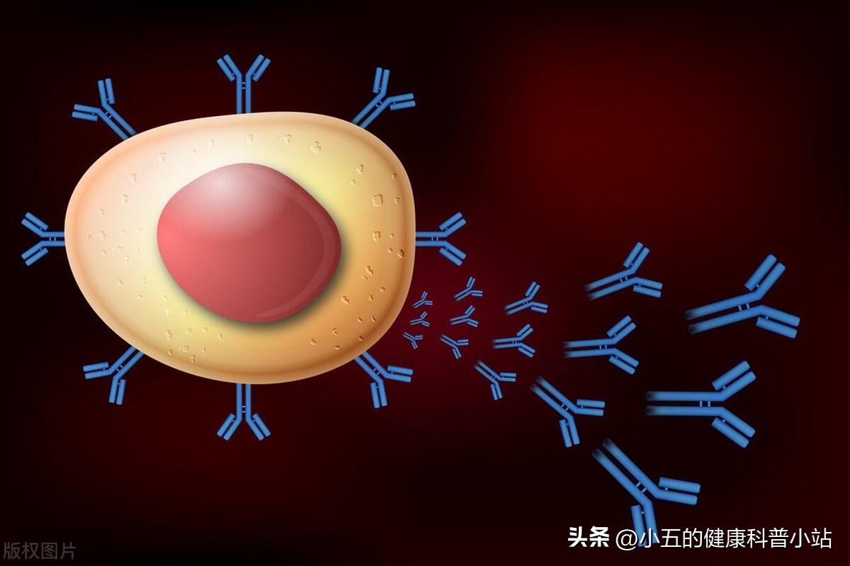 老年人提高免疫力吃什么药物,老年人提高免疫力吃什么药效果好