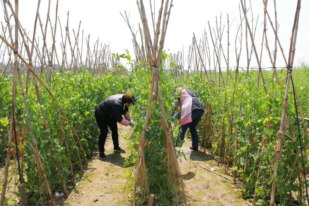 全国排行榜，泰兴排到第20位