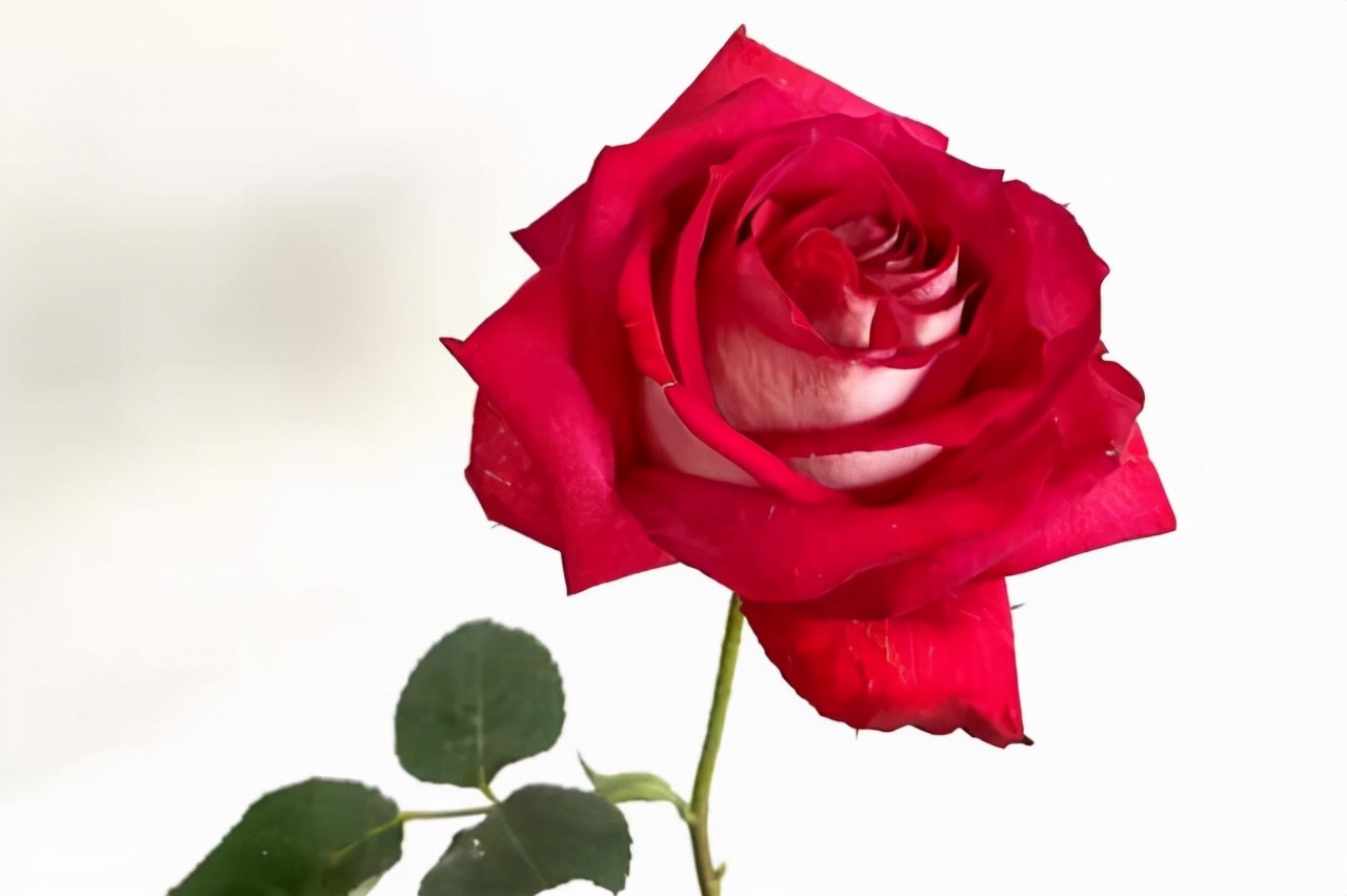 对待自己爱的女人,对待自己喜欢的人