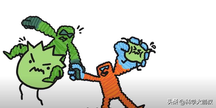 为什么我们会发烧,我们为什么会发烧