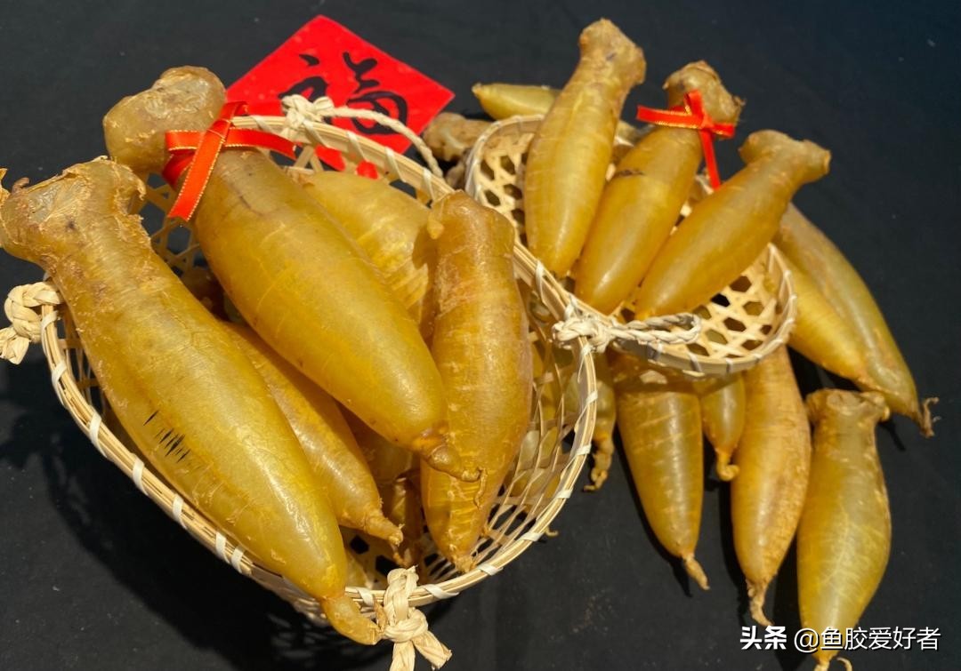 买哪种鱼胶值得收藏,不建议入手的鱼胶