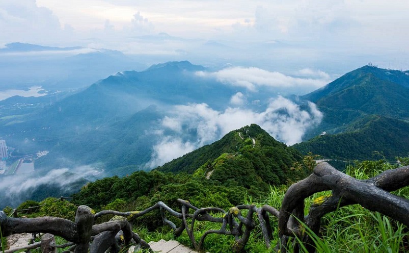 深圳十大必去的景点,深圳十大必玩景点排行榜