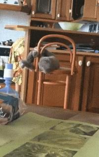 中国单机市场,中国单机手机游戏