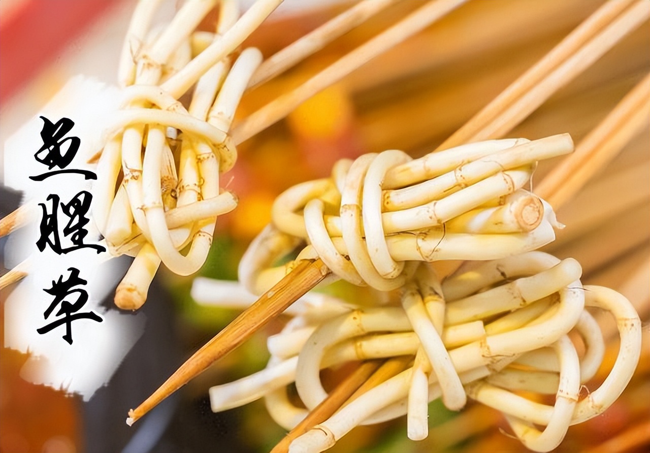 为什么说鱼腥草是害人草,鱼腥草是害人草还是养生草