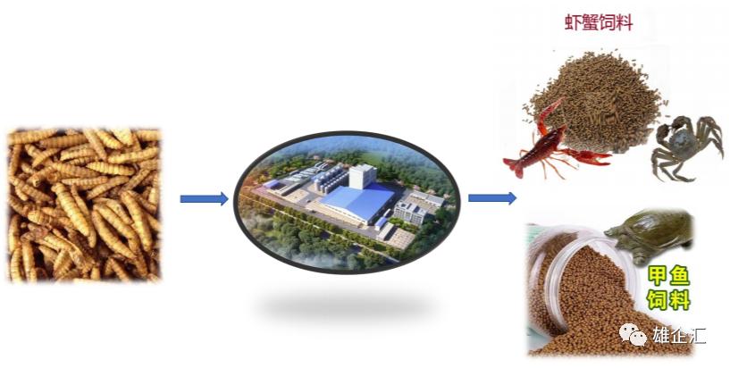 弘控生态公司,北京弘控生态环境有限公司