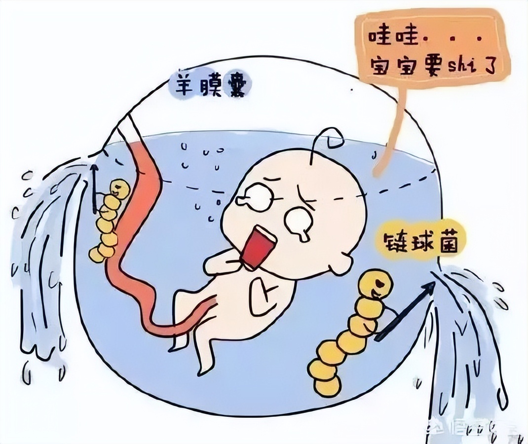 医务人员专业知识,医务人员学医学知识