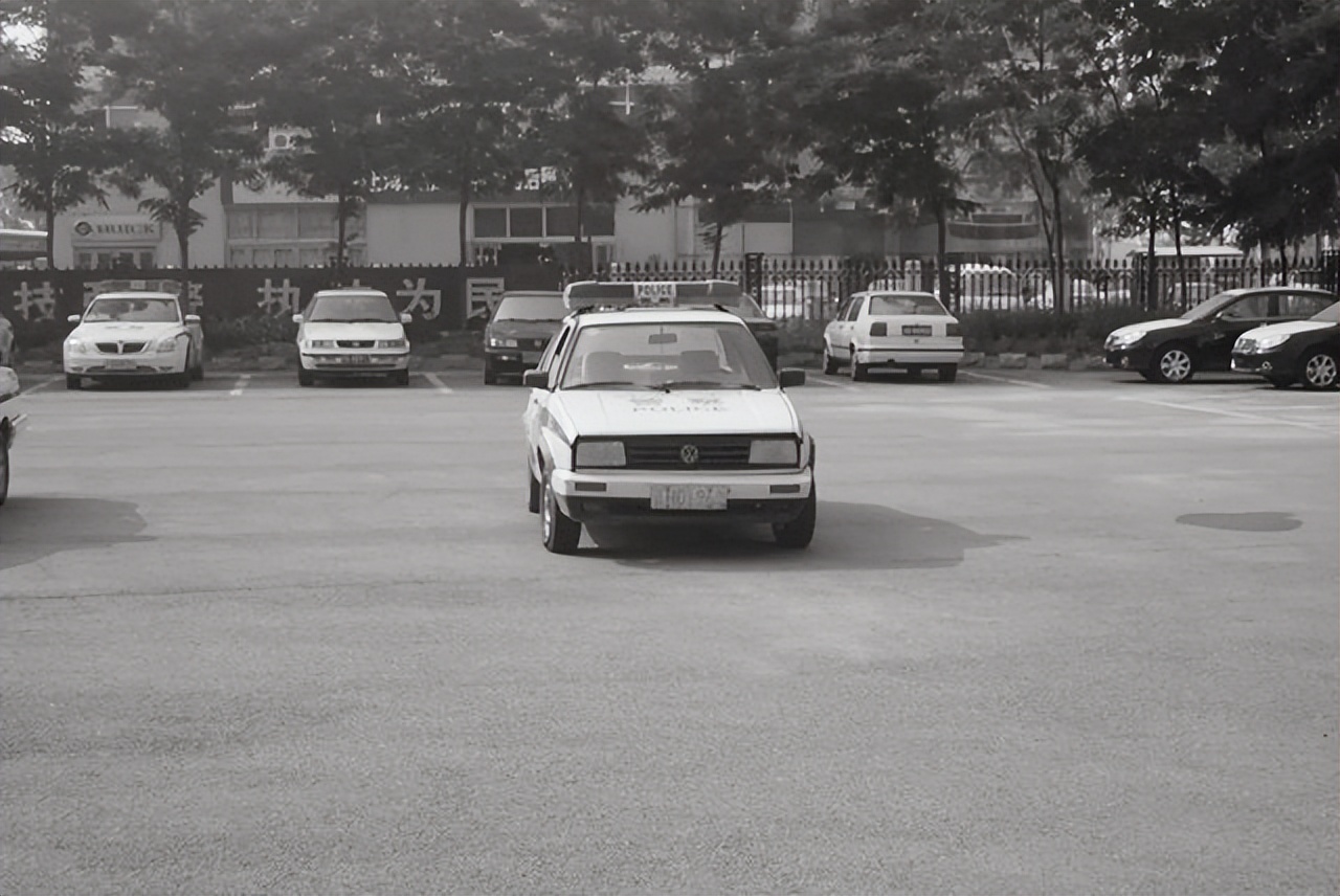 戴笠之子被枪毙真相,戴笠之子戴善武为何被枪毙