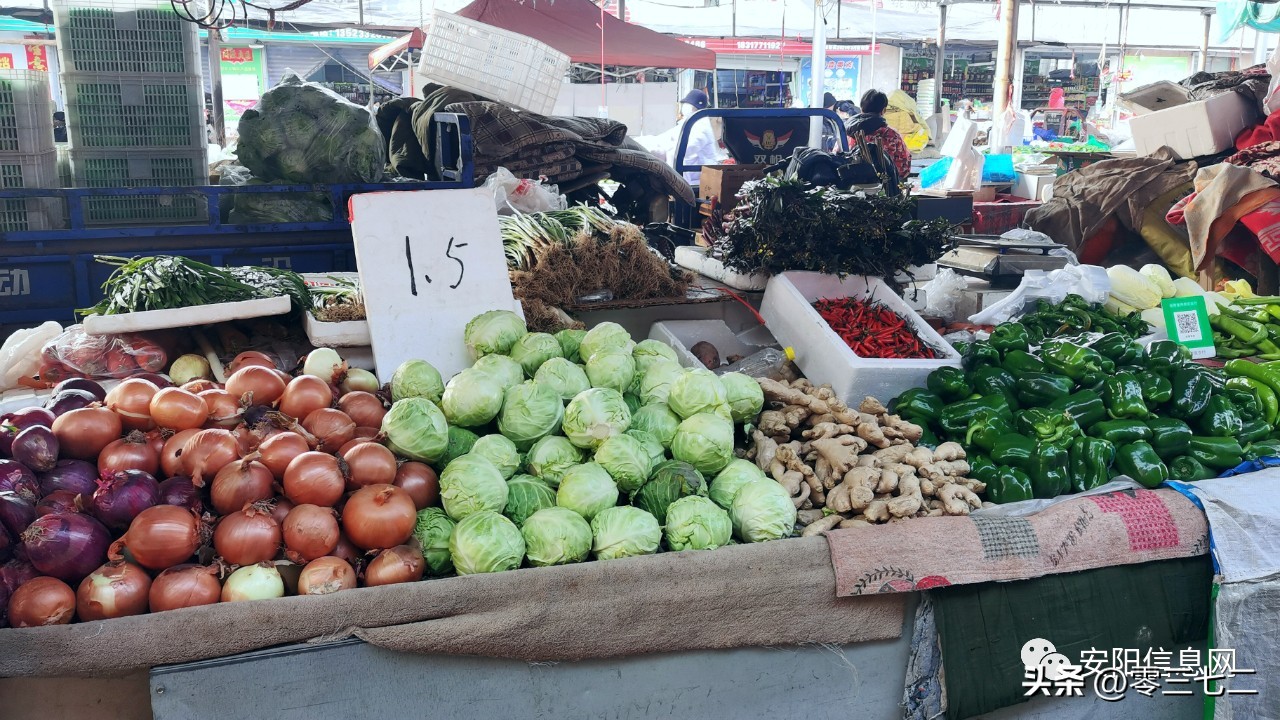 安阳懂生活的人，都在这里…