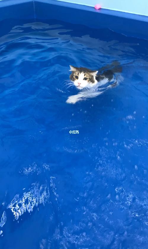 颖儿曝光杨幂,杨幂和颖儿现状