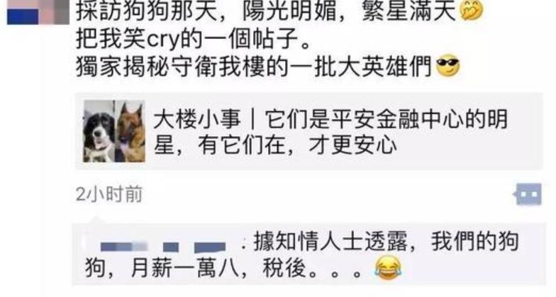 警犬工资一万八真的假的,警犬一月工资
