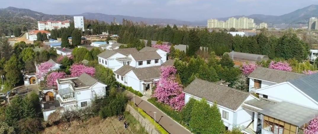 被吐槽为招生简章的同学后续,招生减章湖北大学生出手了