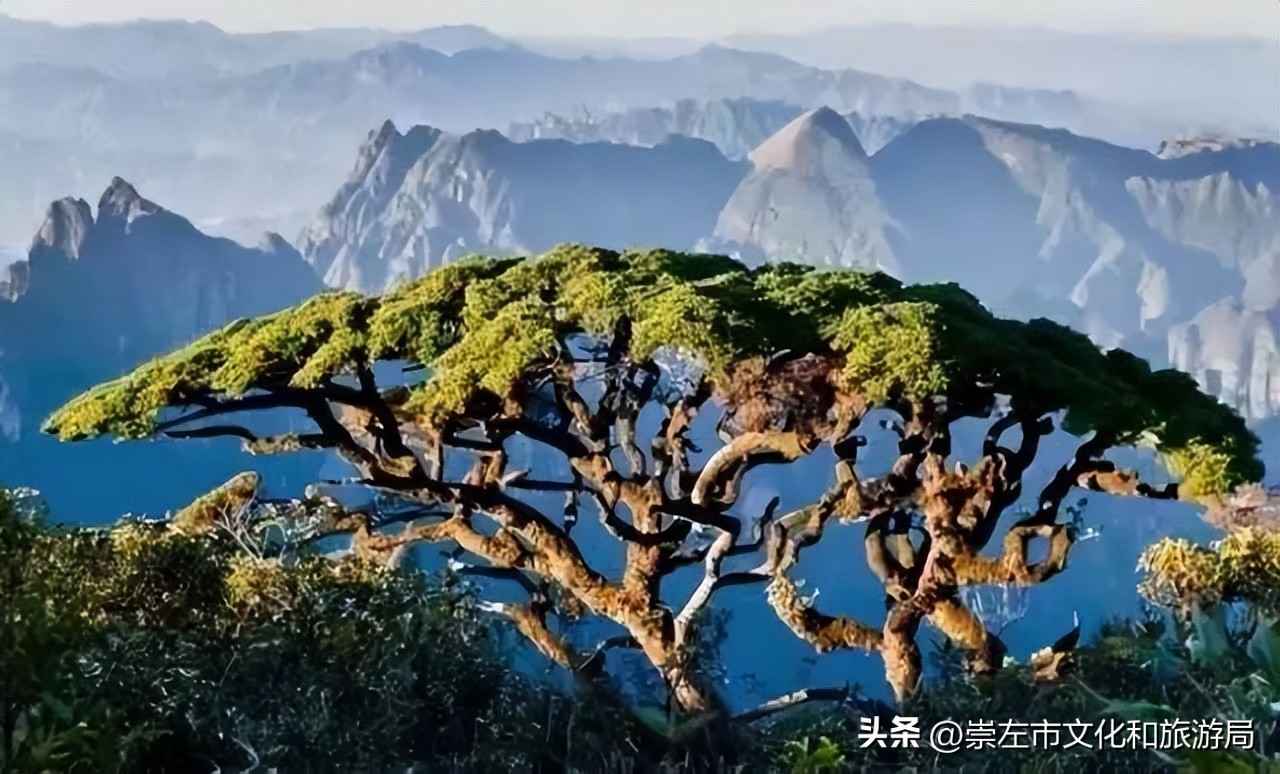 广西桂平研学实践教育基地名单,广西研学教育训练基地