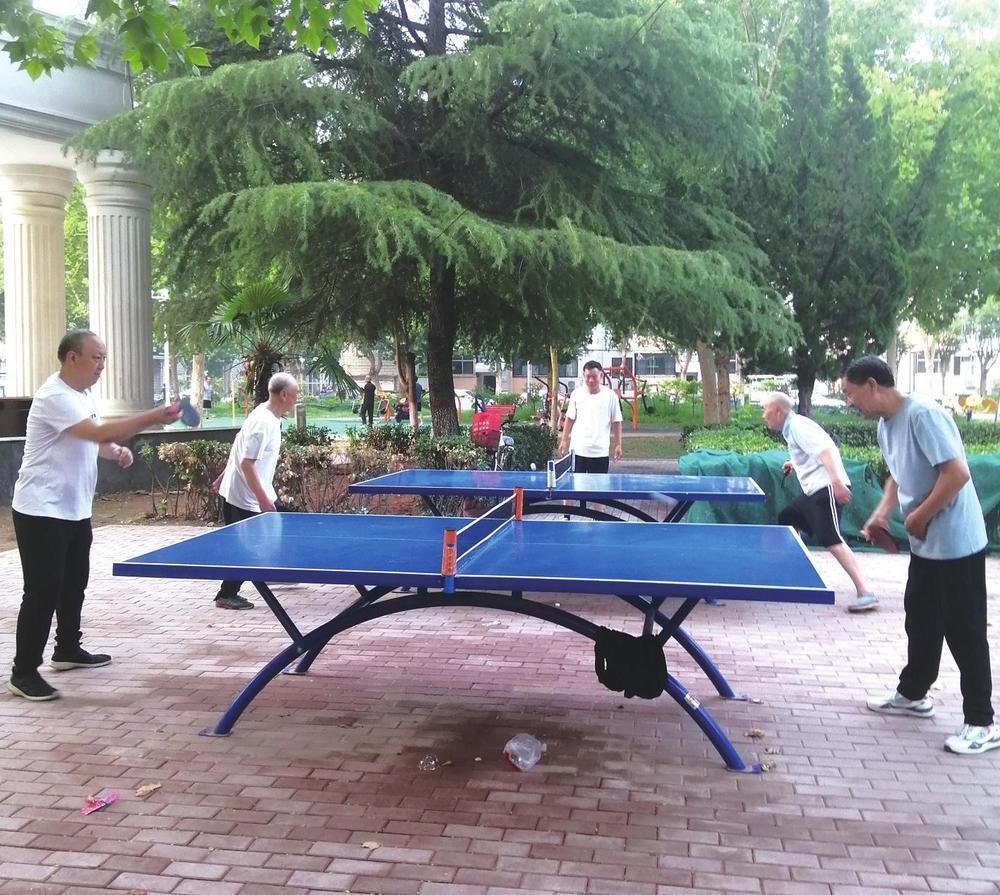 乒乓球运动展示风采,乒乓球风采展