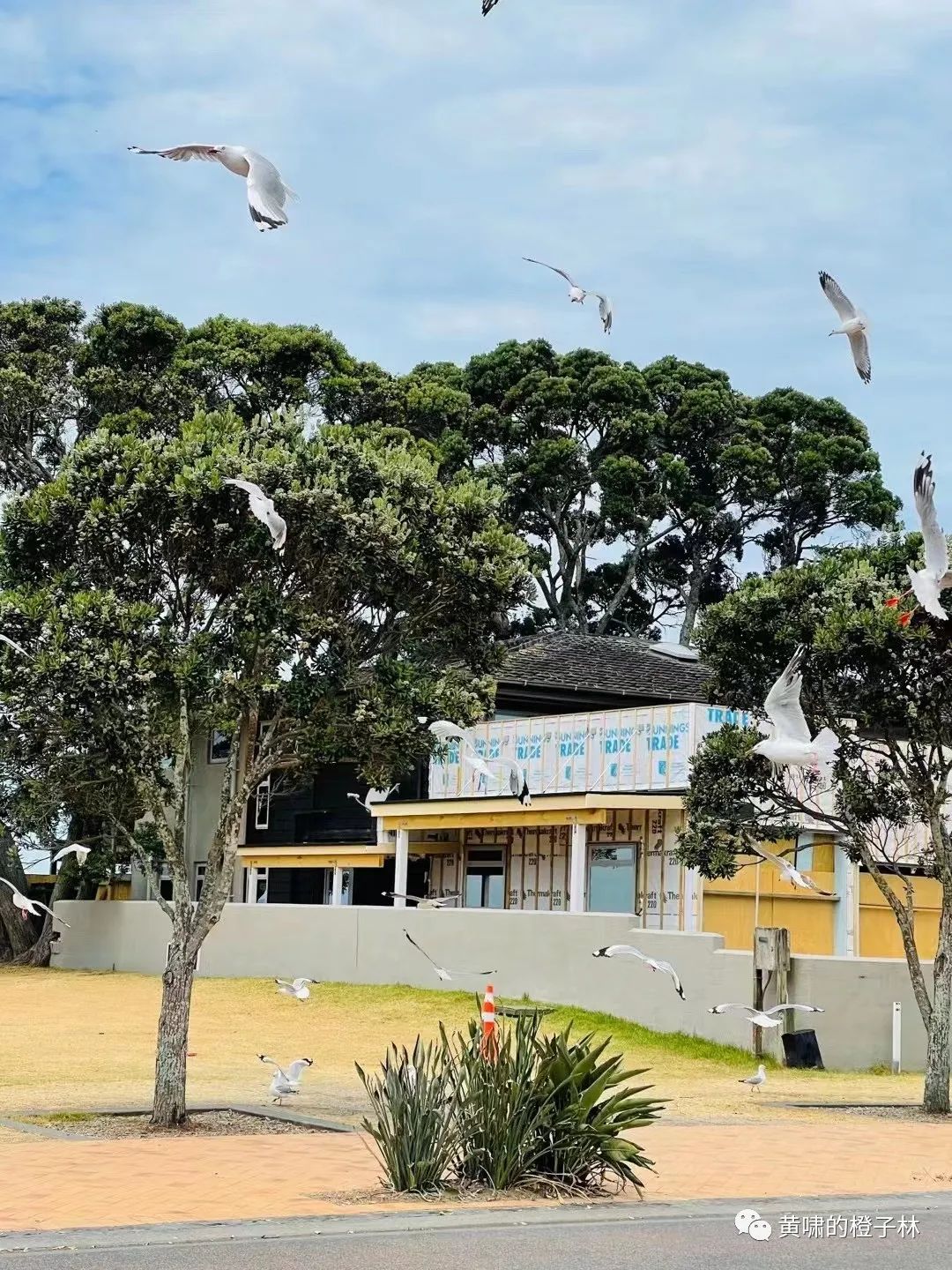 打完疫苗腰疼正常吗,打完宫颈疫苗腰疼怎么回事