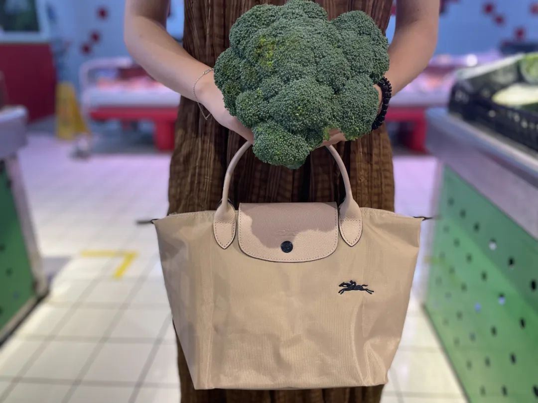 法国珑骧包新款,珑骧包背出大牌