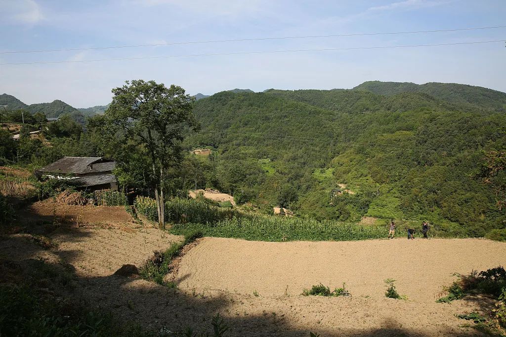 失业了假装每天去上班应该去哪里,失业了骗老公天天假装上班