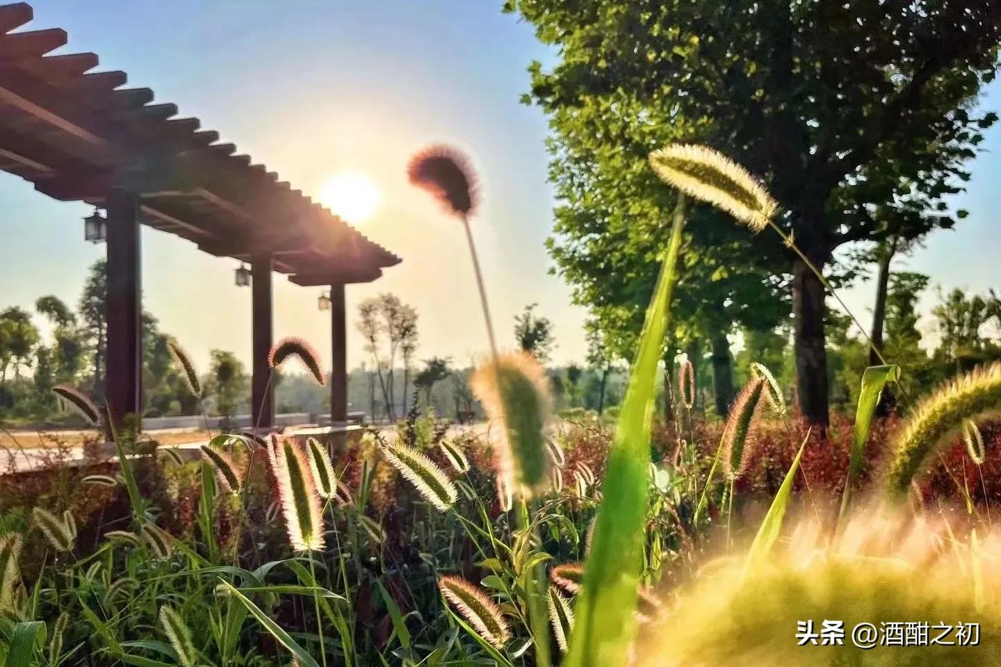 乡村故事：奸情（三）