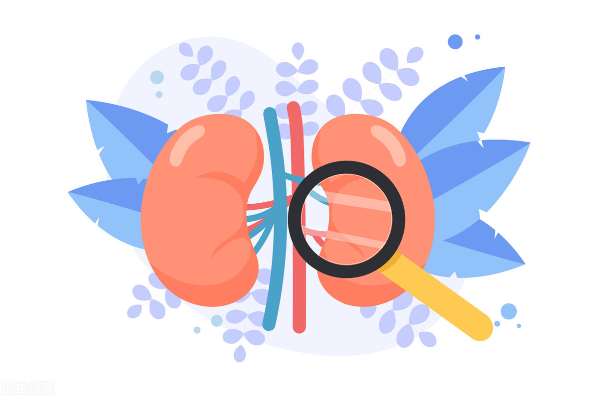 不吃药怎样降尿蛋白,改善肾功能降低蛋白尿的方法