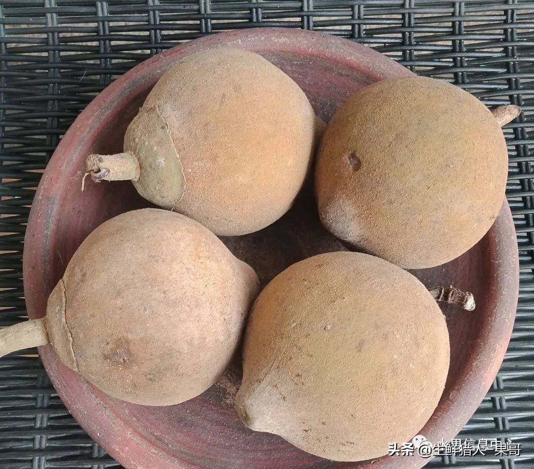 #奇异水果知多少#椰柿、黄晶果、冰淇淋果、巧克力布丁果等