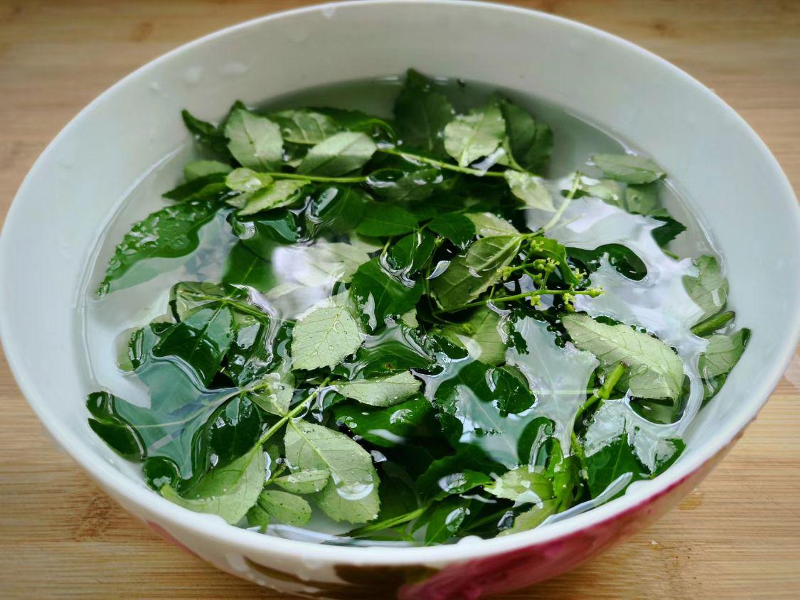 春天，遇见这叶子多摘点，养肝降春燥，随手烙成煎饼吃真香