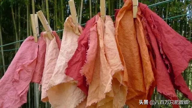 本命年红裤腰带是什么样子的,有本命年穿的红裤吗