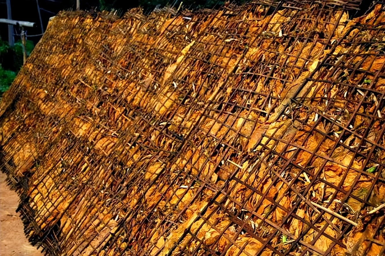 17世纪*草烟**被引进英国后不久,便成为贵族青睐的消费品