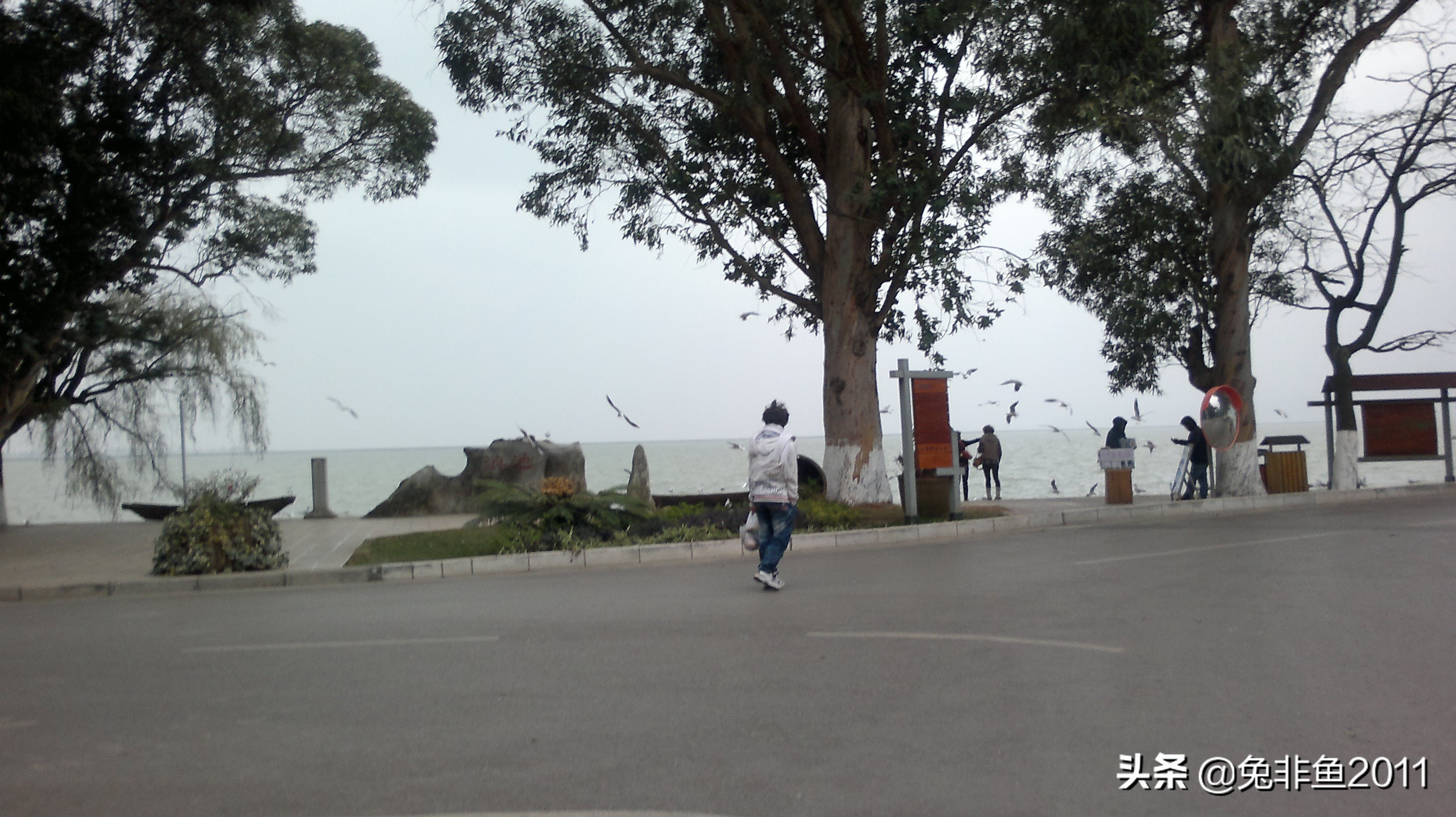 云南腾冲滇峰之旅,云南瑞丽中缅边境一日游