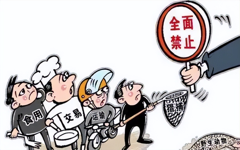 非法抓野兔会被判刑吗,男子抓野兔被刑拘涉嫌非法狩猎罪