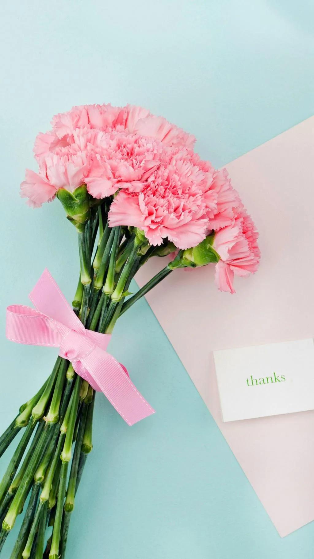 康乃馨花束壁纸,康乃馨壁纸手机超清全面屏